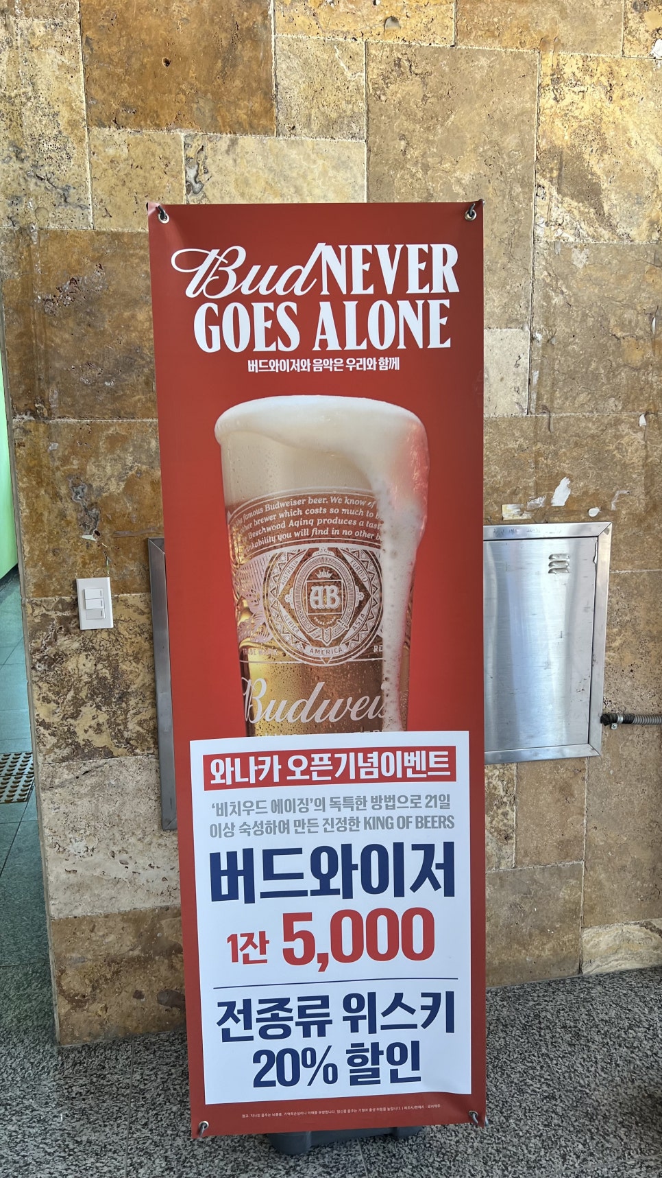 와나카 사진 5