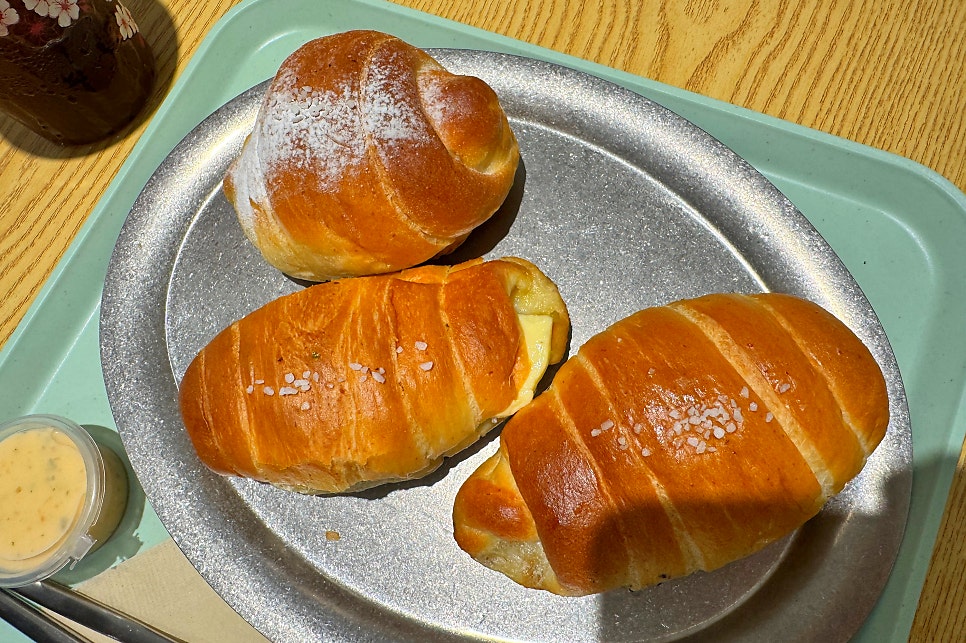 핀토 사진 5