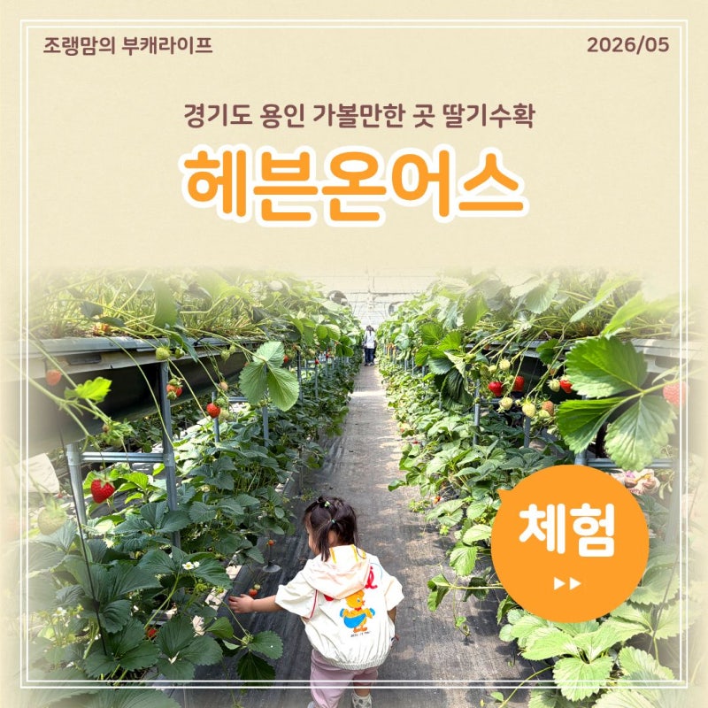 사진 9