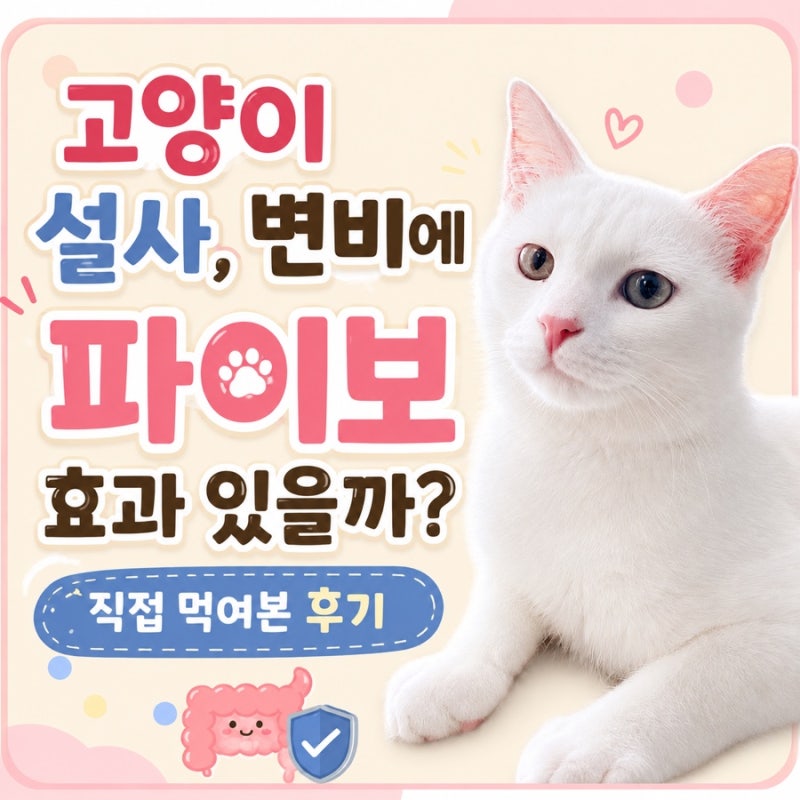 고양이 설사, 변비에 파이보 효과 있을까? 직접 먹여본 후기