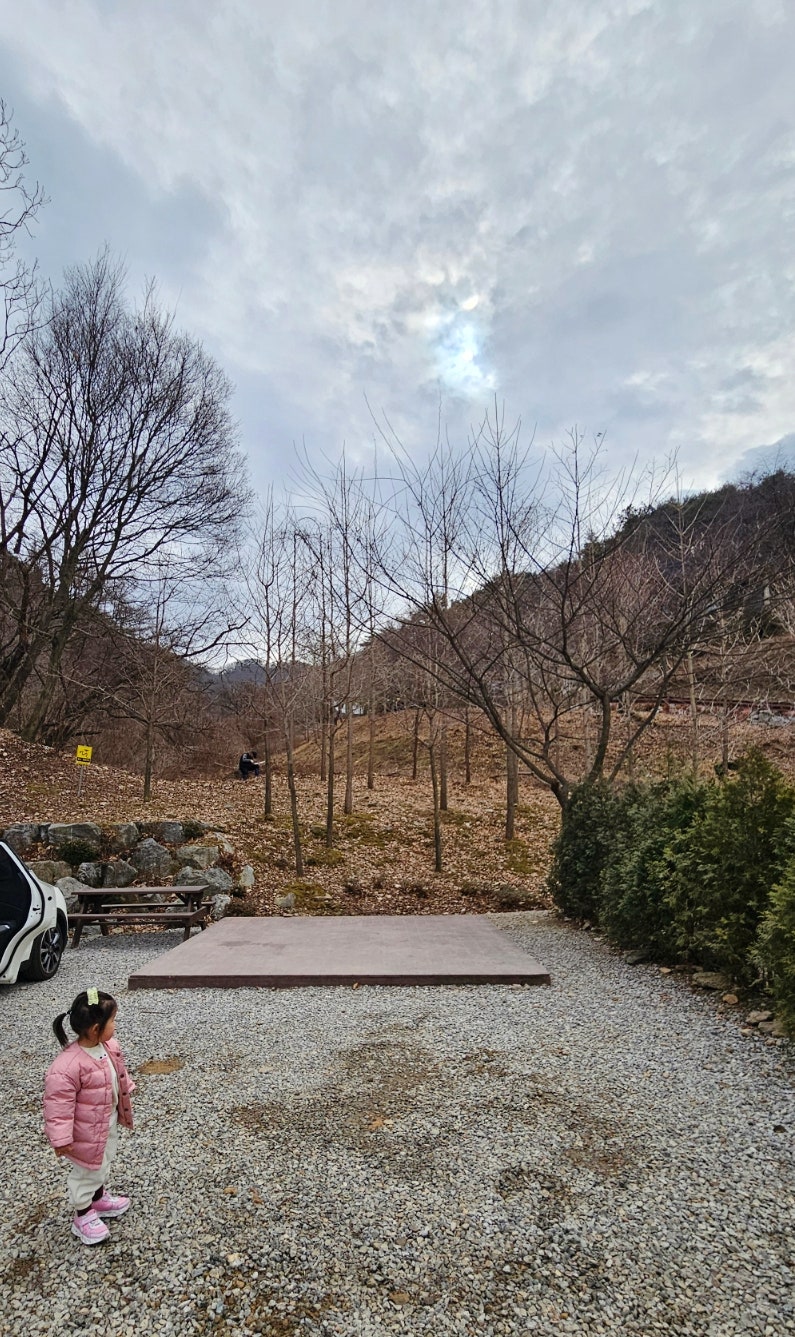 [안성] 서운산자연휴양림 오토캠핑장_3구역 #8번