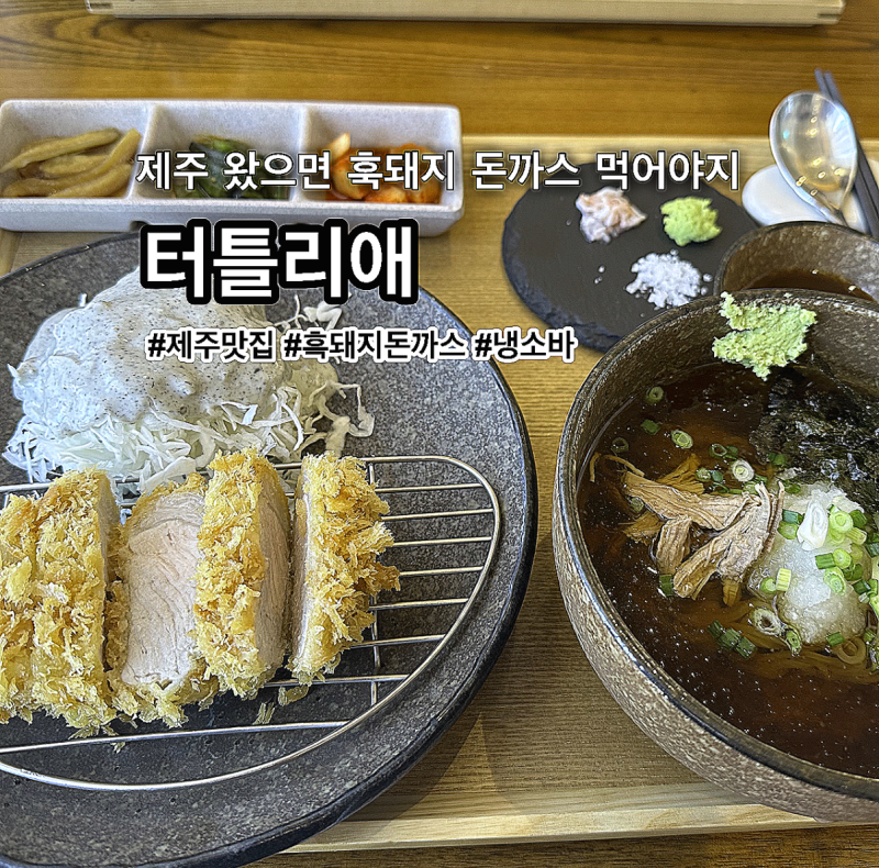 제주 서귀포 맛집 터틀리애, 카멜리아힐 근처에서 즐기는 흑돼지 돈까스