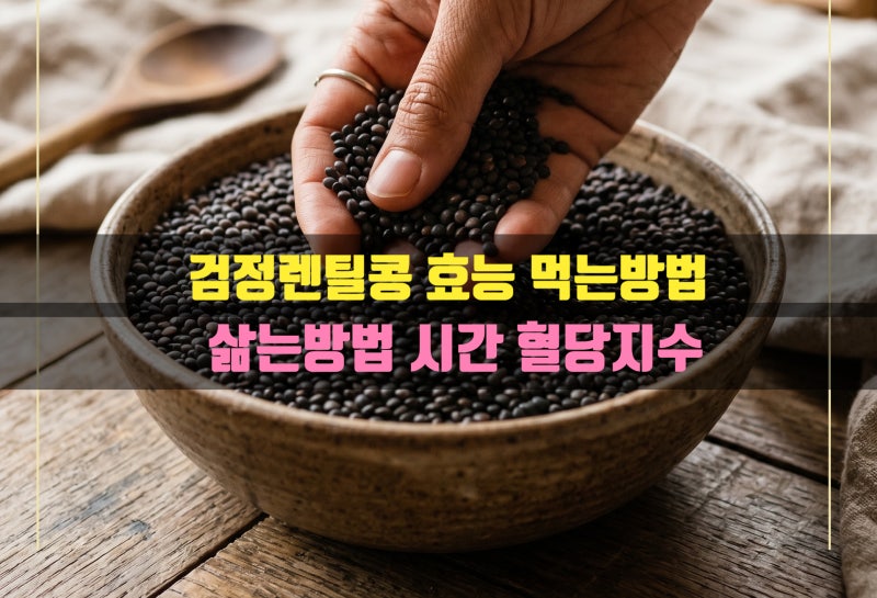 검정 블랙 렌틸콩 효능 먹는방법 삶는방법 시간 부작용 밥 짓기 당뇨에 더 좋은 렌틸콩은?