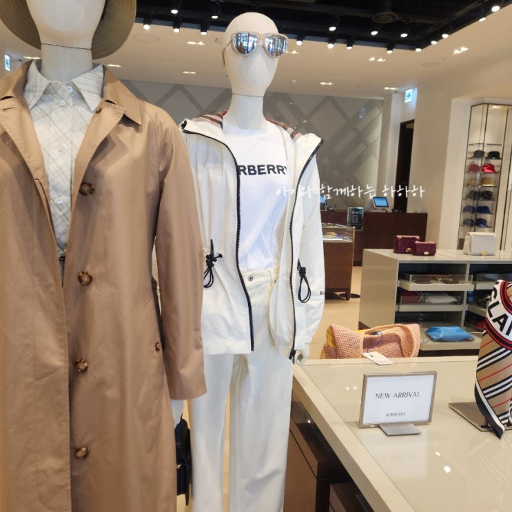  버버리 김현아 쇼핑 현대프리미엄아울렛 김포점 옷 득템