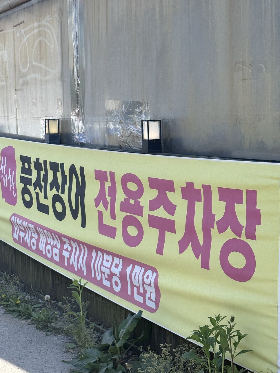힘찬풍천장어 사진 1