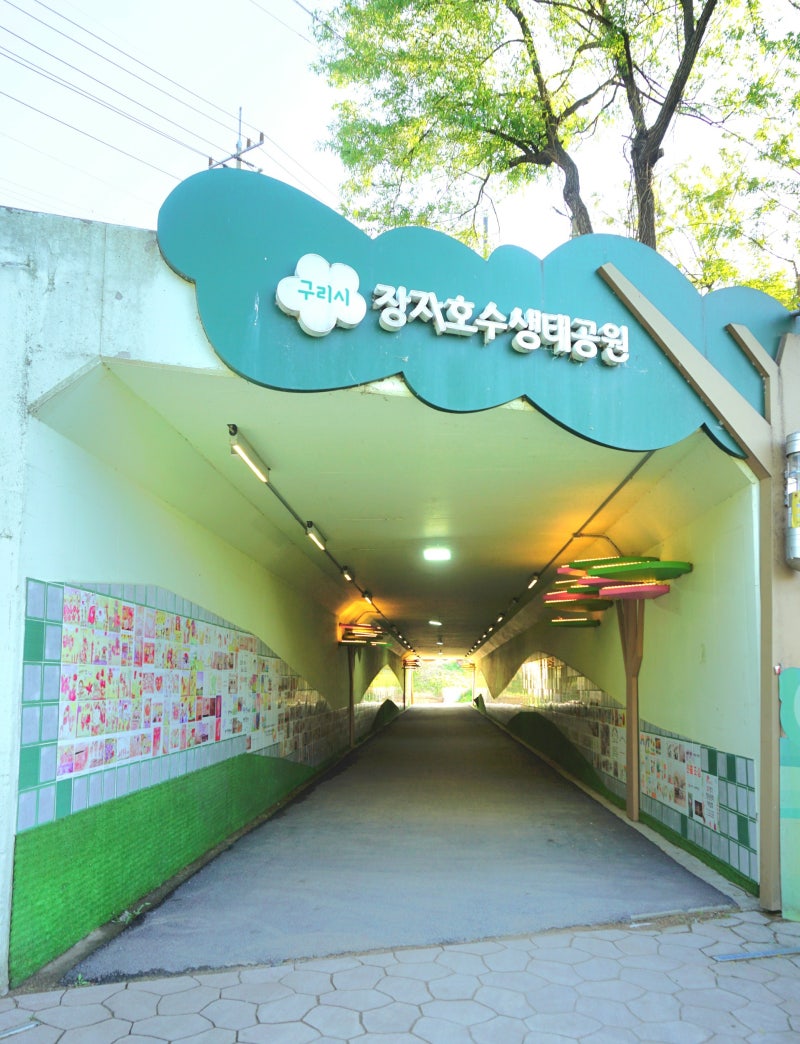 사진 7