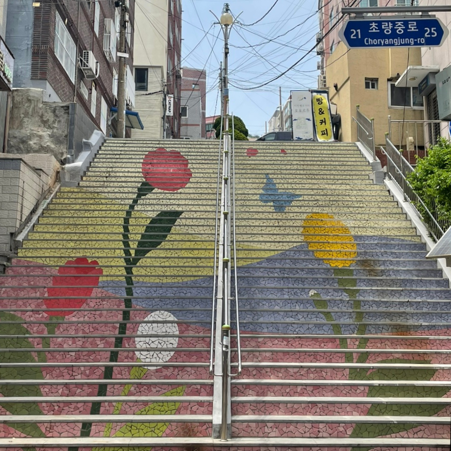 고고한결 사진 1