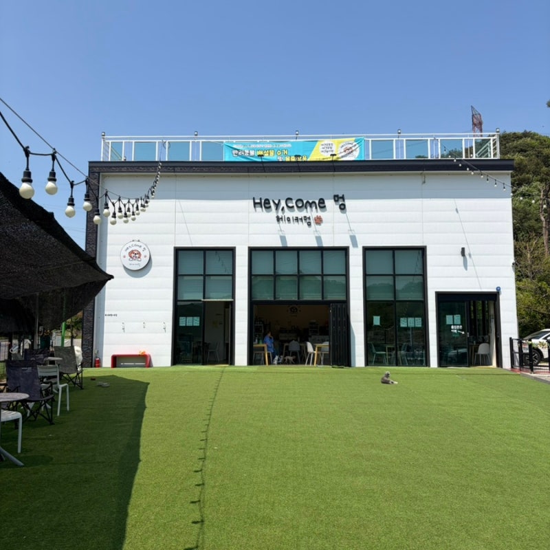 헤이커멍 애견운동장 애견호텔 놀이방