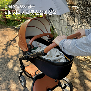 디럭스 유모차 대여 당근? 미마자리 5만원에 겟 캐리콧 첫 외출 후기