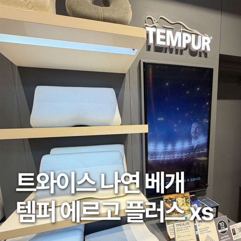 템퍼 에르고 플러스 베개 xs 트와이스 나연 꿀템 가정의달 선물 추천