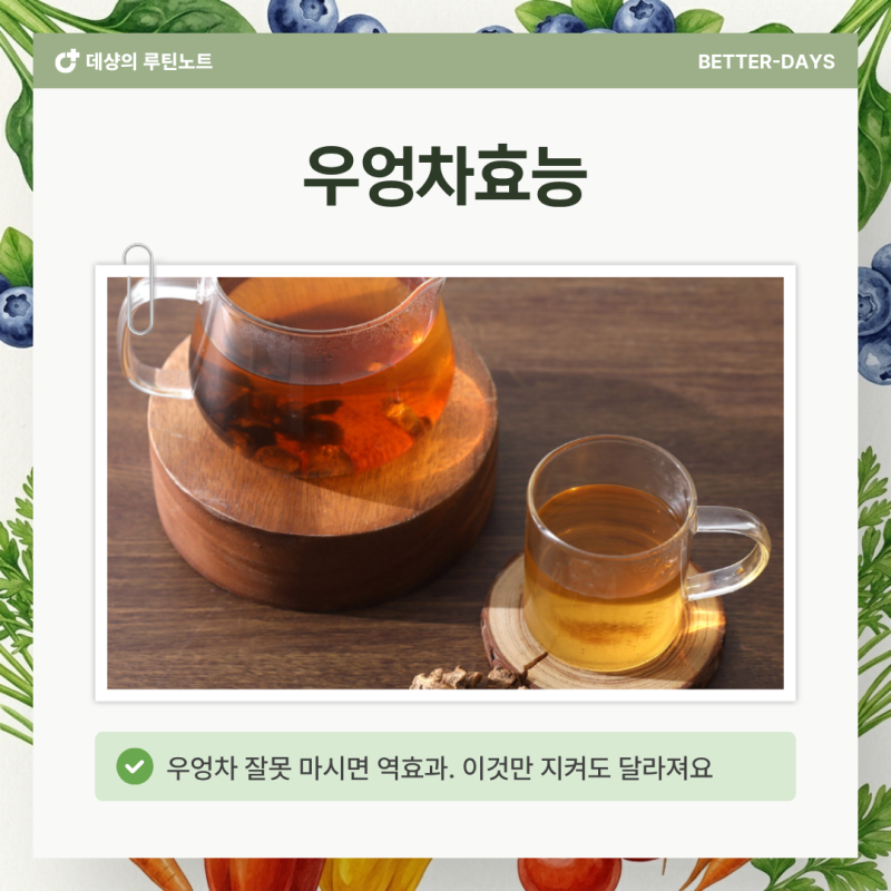 우엉차효능 아무렇게나 믿으면 안 되는 이유 5가지(+올바른섭취법)