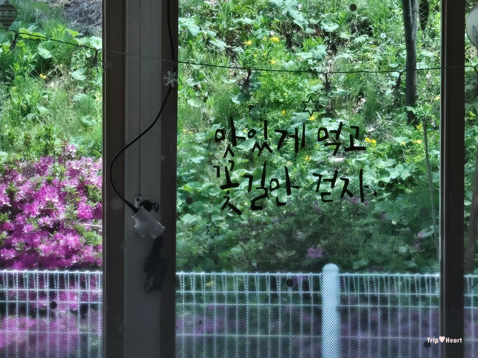 정선곤드레본가 사진 2