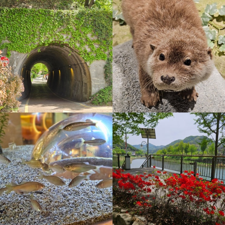  전주 아이와 가볼만한곳 실내 놀거리 전주자연생태관