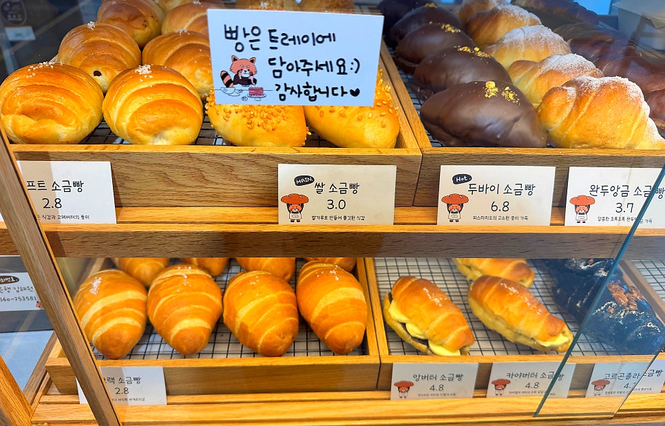 핀토 사진 2