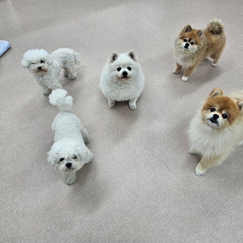 사진 4
