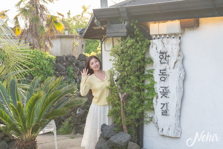 제주 동쪽 숙소 4인 독채 제주 돌집 감성