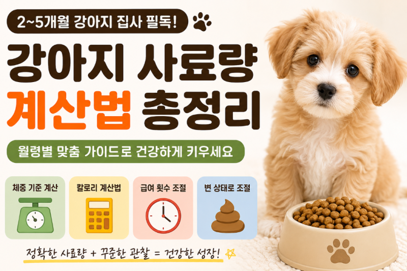 이 시기에 잘못 먹이면 평생 영향? 2~5개월 강아지 사료량, 제대로 계산하는 법 총정리
