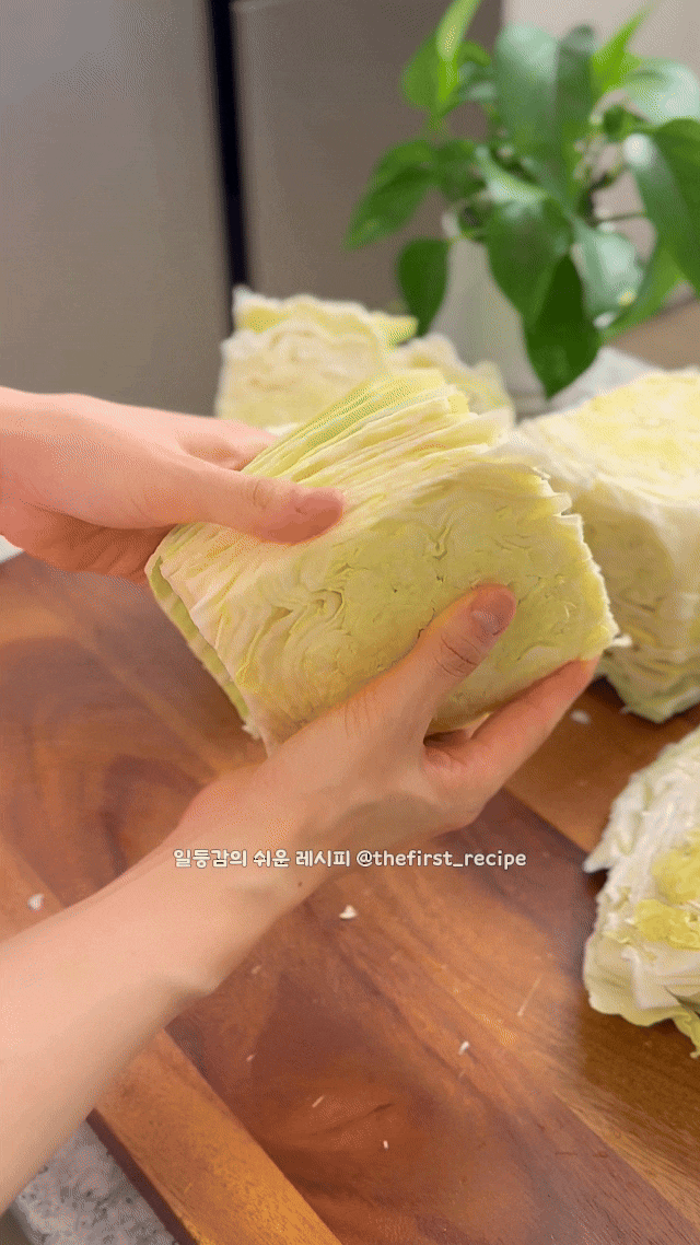 양배추 전자레인지 맛있게 찌는법 양배추 샐러드 채칼 채썰기 세척 보관