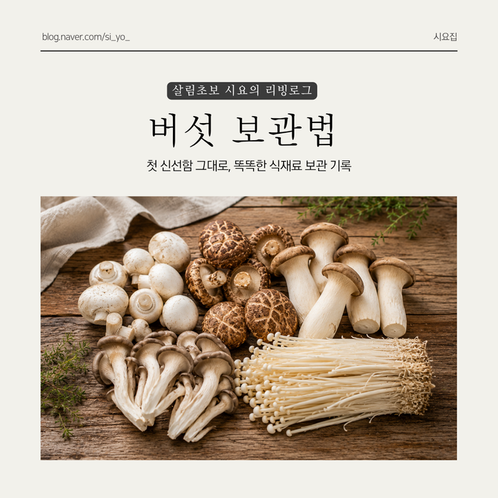 양송이 표고 새송이 느타리 팽이 버섯 종류별 제대로 보관하기