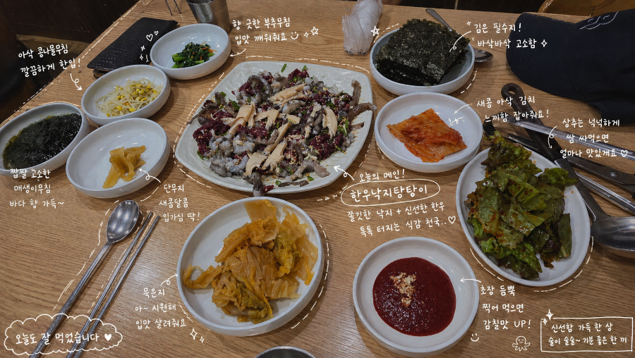 목포갯벌낙지 사진 6