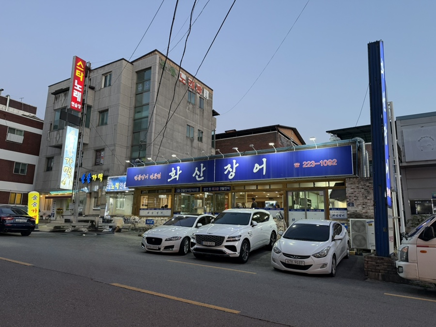 화산장어 사진 3