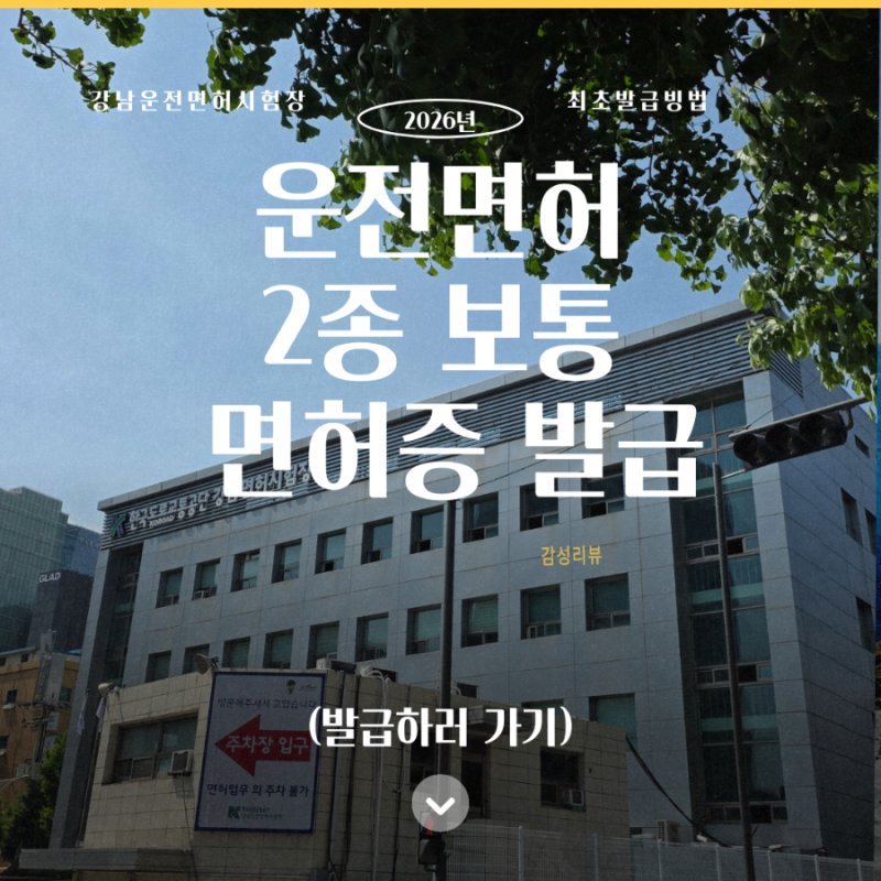 강남운전면허시험장 2종 보통 면허증발급 : 영문·모바일 면허증 차이와 발급 비용