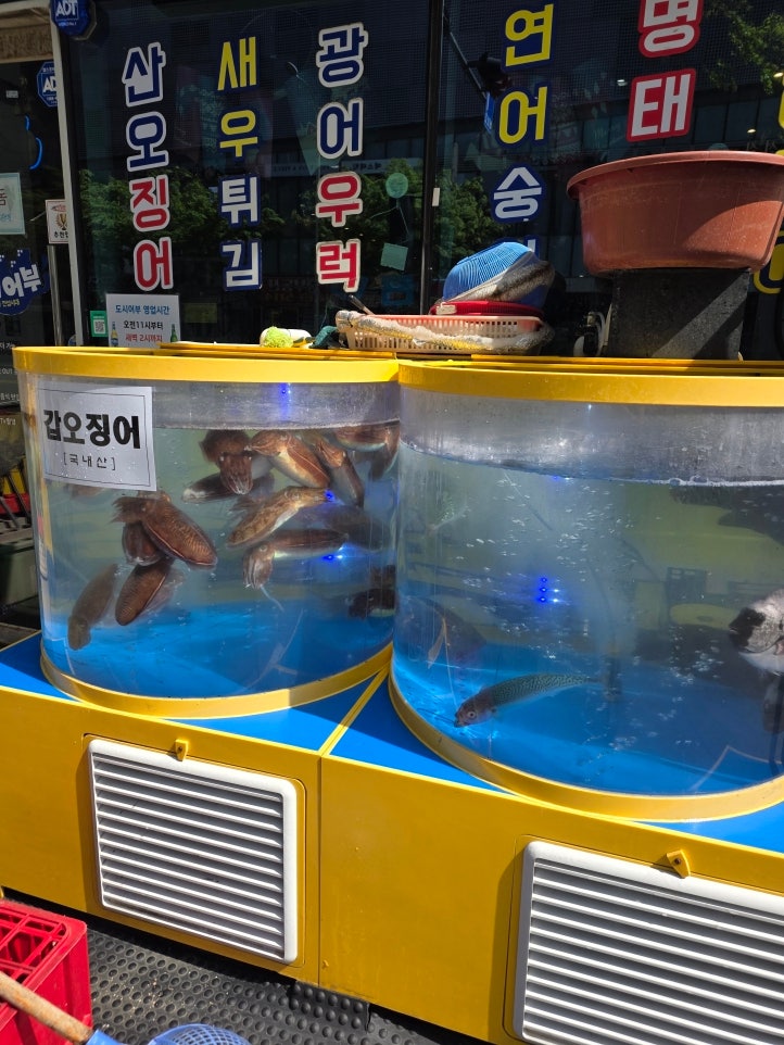 낚시꾼김춘복의도시어부 송도점 사진 4