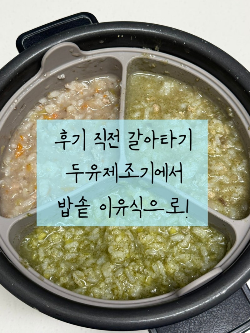 [중기 이유식] (6) 후기 직전 밥솥이유식 전환! 쿠첸 & 잼먹 6인용 MAX ㅣ 중기 이유식 간식 ㅣ ....