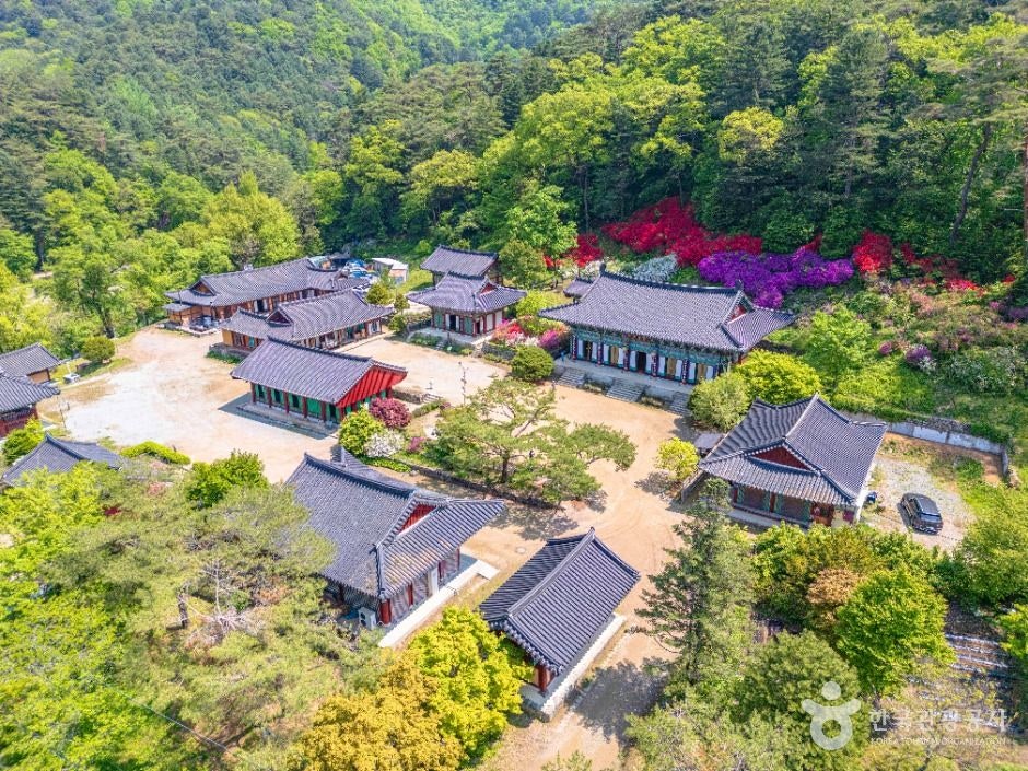 설레임 사진 1