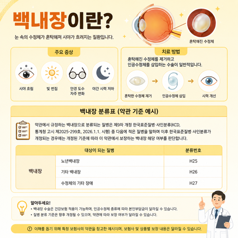 백내장 수술 비용 보험 청구 전 꼭 알아야 할 특약 구조
