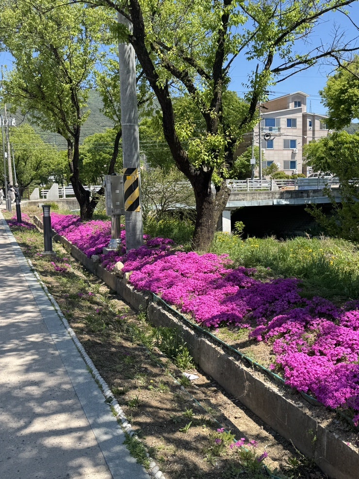 더필름 제천점 사진 4