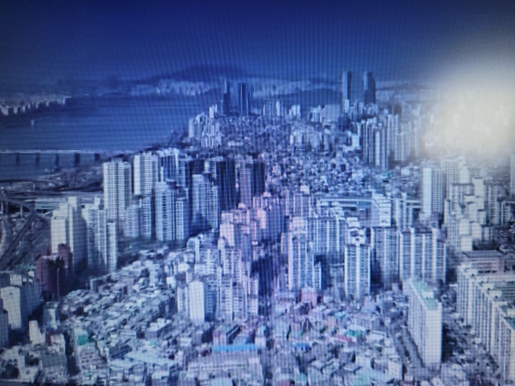  서울에서 가장 높은 산은? 아파트 가격 전망 부동산 전문가 vs 공인중개사 차이