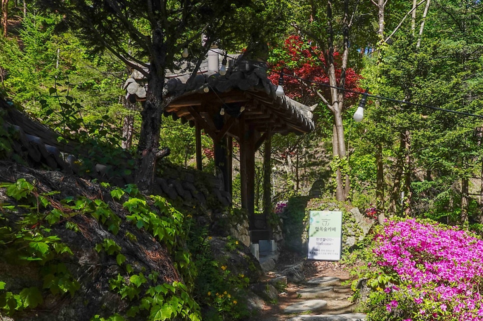 숲카페 사진 1