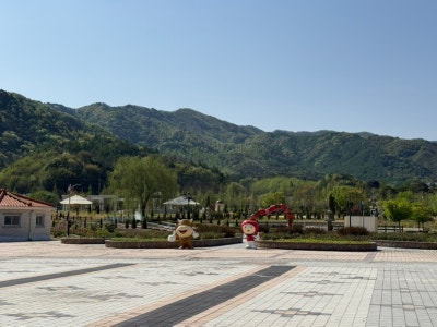 사진 6
