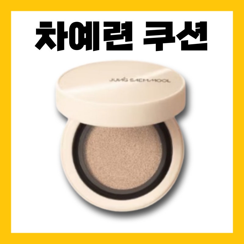 차예련 쿠션 정샘물 스킨 누더 커버레이어 팩트