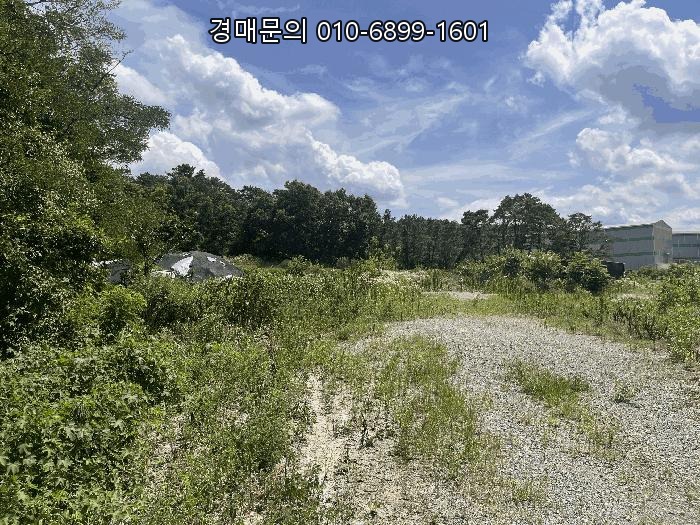  경상남도 창녕군 창녕읍 술정리 242-6, 높은 잠재력 품은 근린생활시설 법원 경매! 2회 유찰로 감정가 절반에 만나는 특별한 기회! 2025타경10386