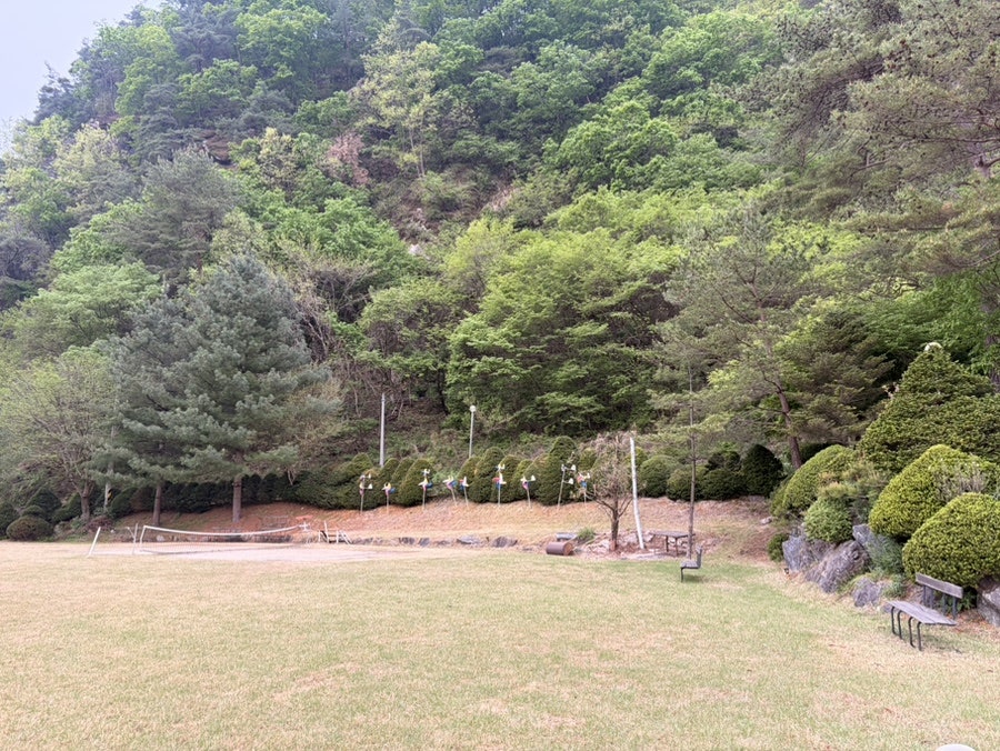 무릉도원펜션 사진 7