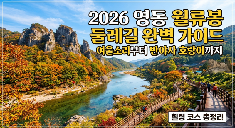 사진 5