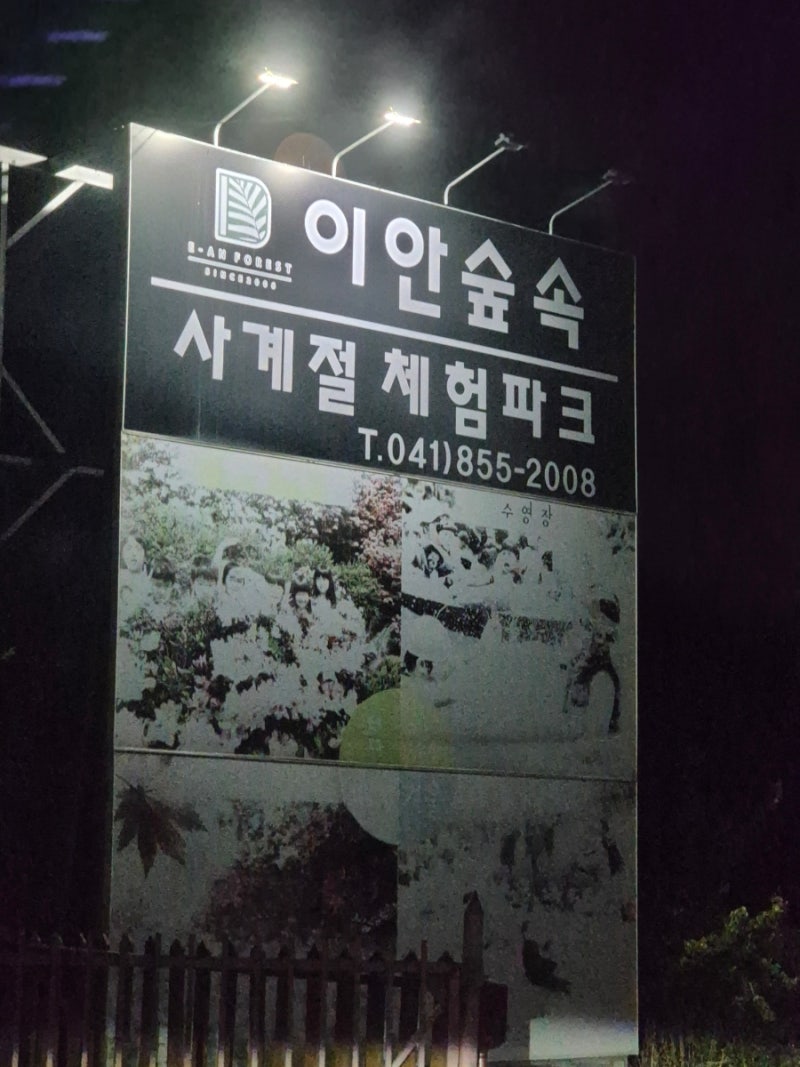 [캠핑장리뷰] 공주 이안숲속캠핑장 숲속사이트 2번에서 하룻밤