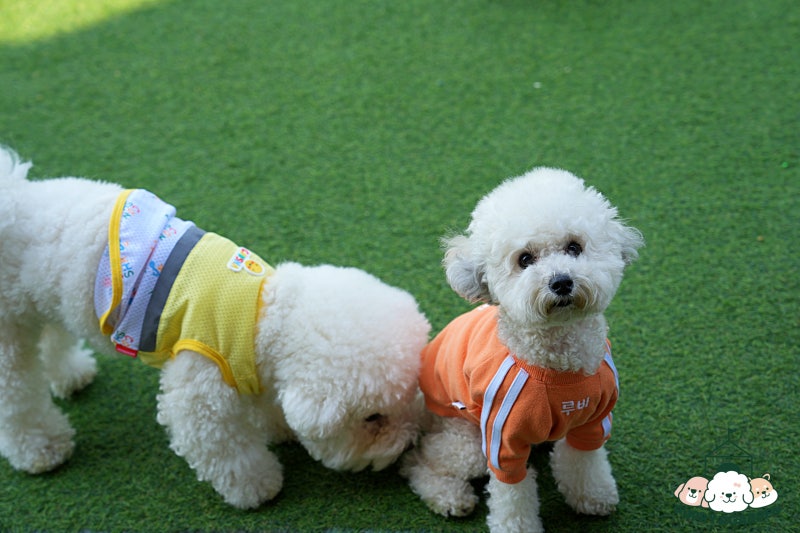 사진 2