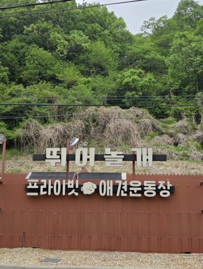 사진 7