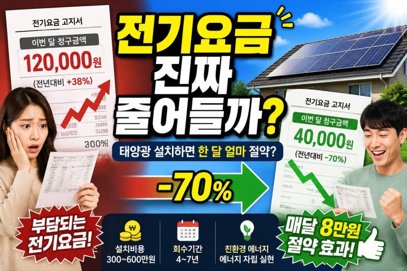 가정용 태양광 패널 설치 비용과 효율