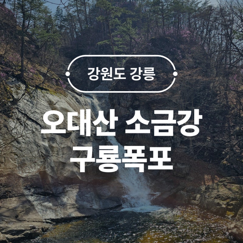 강릉 오대산 소금강 구룡폭포 주차 6살 아이랑 가족나들이