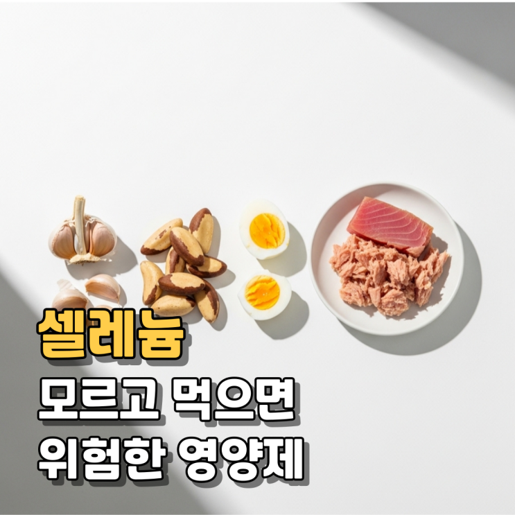  셀레늄 효능 부작용 섭취방법 총정리 ㅣ 항산화부터 갑상선까지 핵심만 정리