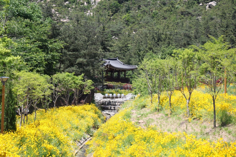샘골 사진 5