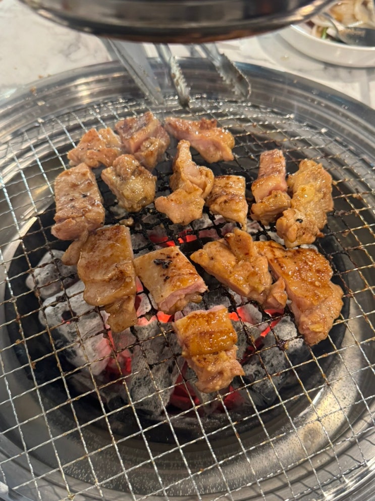  속초청초호맛집 현지인 추천 숯불 닭갈비 맛집 숯닭숯닭