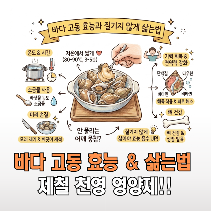 피로회복 영양제 부럽지 않은 바다 고동 효능과 질기지 않게 삶는법