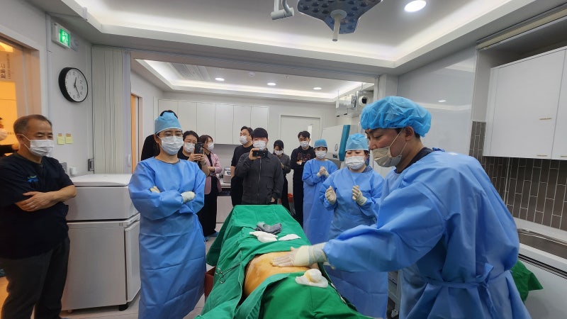 줄기세포 시술 가격, 혈액/골수/지방 종류별 적정 비용 완전 정리 (시술금액 공개)