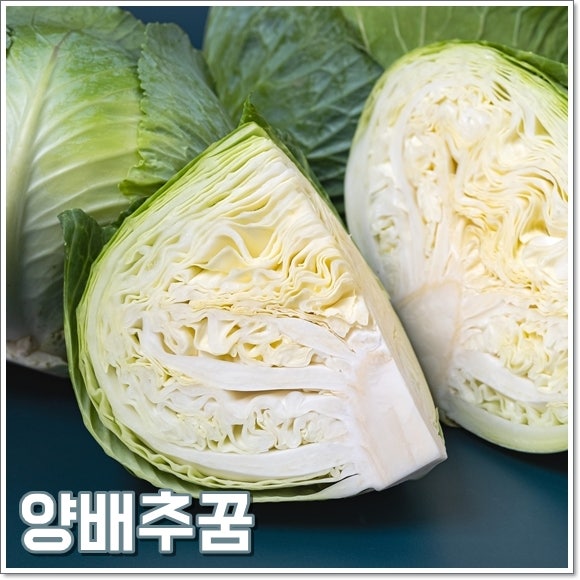 양배추꿈 해몽 양배추사는꿈 횡재수 태몽 풀이