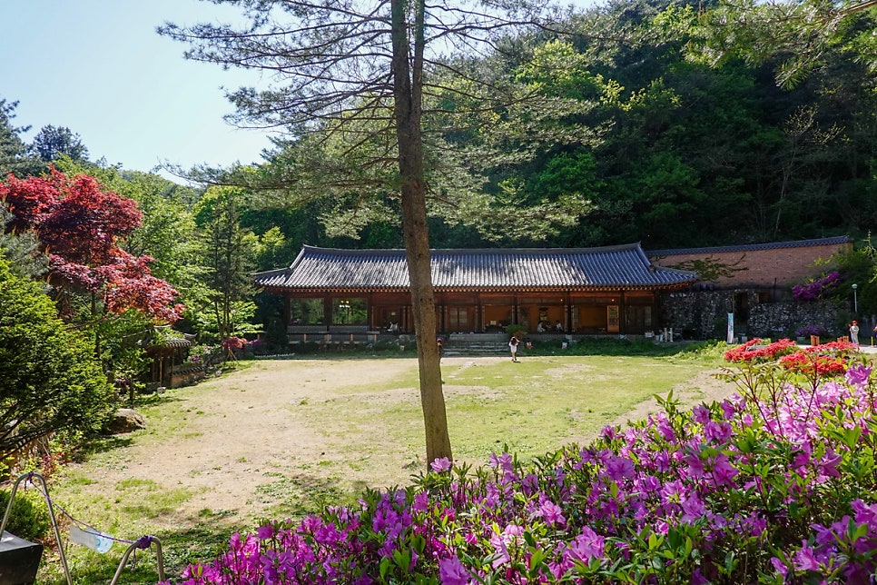 숲카페 사진 3